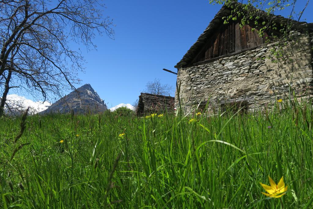 B&B Alpe Veglia Varzo Exterior foto