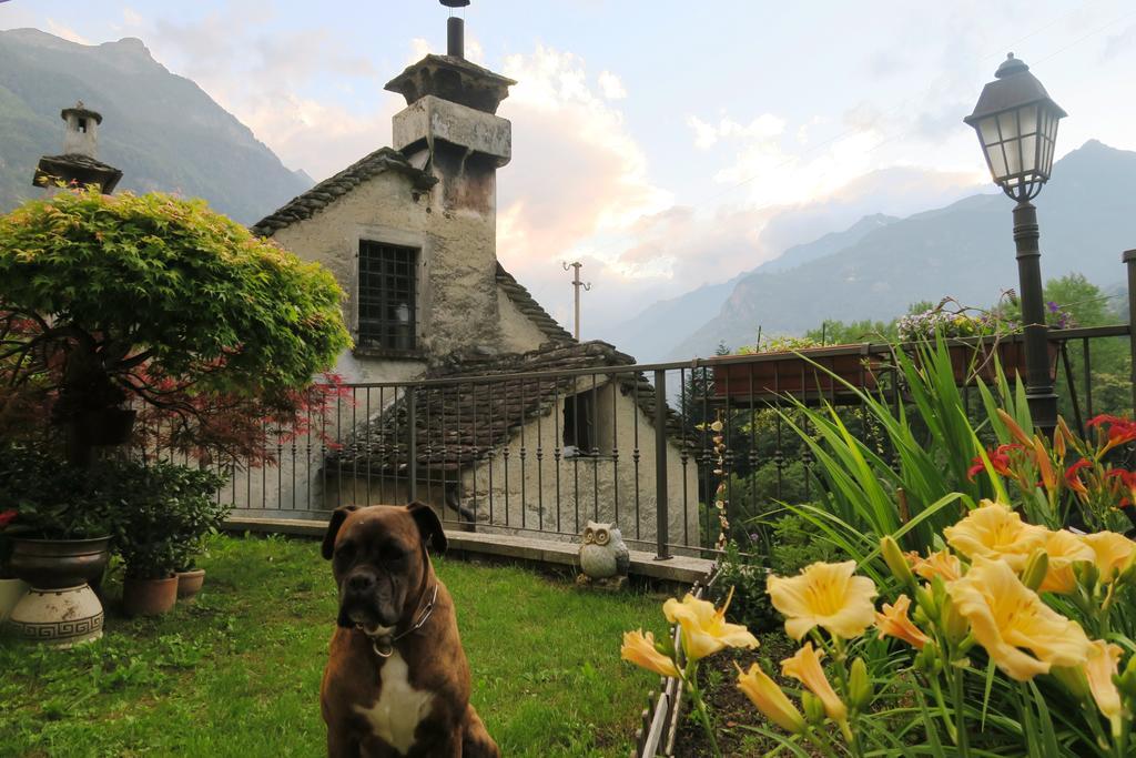 B&B Alpe Veglia Varzo Exterior foto